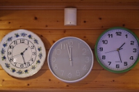 Szedres mint�s holl�h�zi porcel�n, sz�rke pasztell �s z�ld nagy kontraszt� m�anyag fali�r�k