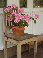 savazott mint�s nat�r agyag vir�gtart� musk�tlival